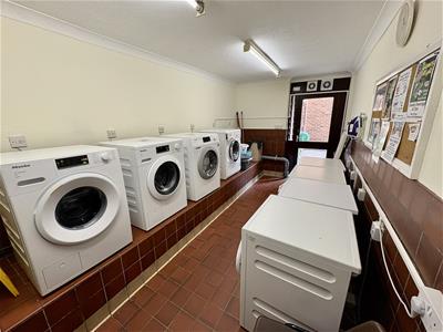 Picture 17